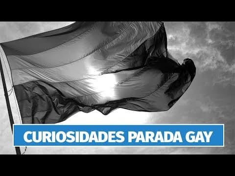 Curiosidades das 20 edições da Parada LGBT de SP #parada21