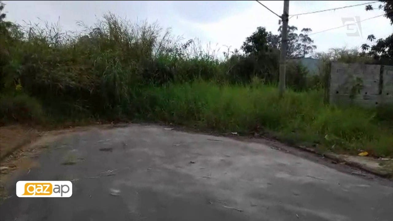 Mato alto em calçada de Itaquá