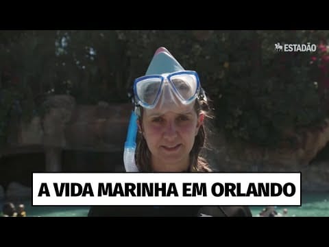 Por dentro da vida marinha nos parques do SeaWorld